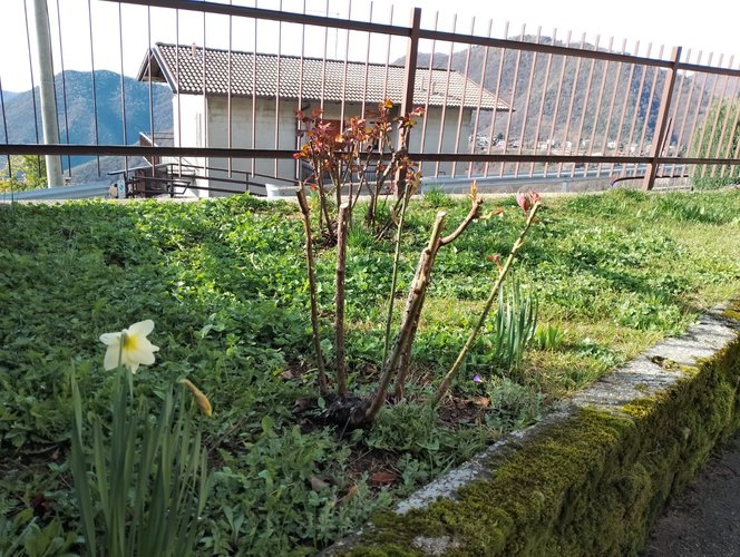 CASA INDIPENDENTE! Aviatico