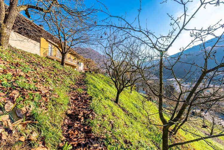 Terreno Residenziale Pradalunga