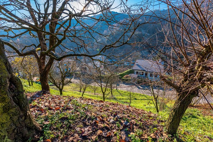 Terreno Residenziale Pradalunga