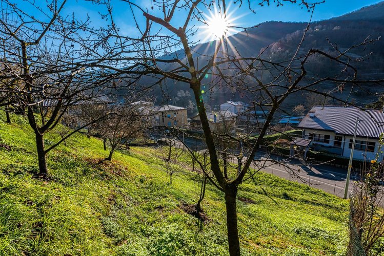 Terreno Residenziale Pradalunga