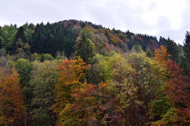 Oltre il Colle, zona esclusiva, bilocale con taverna, arredato con possibilità box Oltre il Colle