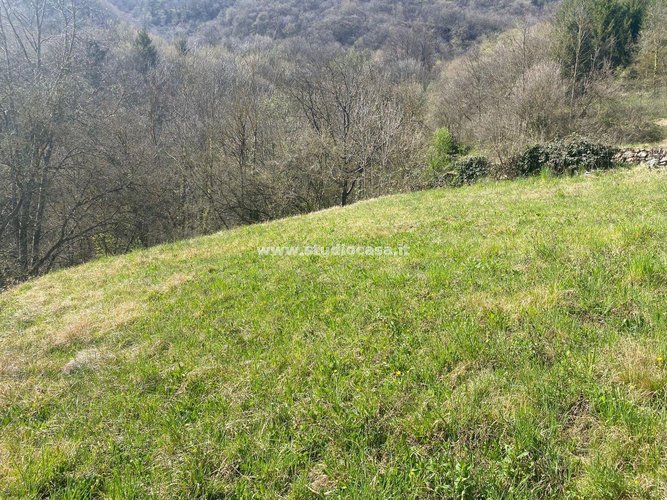 INDIPENDENTE  CASA CONTADINA! Bracca