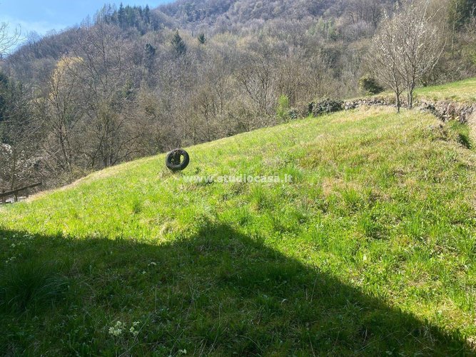 INDIPENDENTE  CASA CONTADINA! Bracca