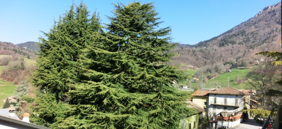 Serina, in elegante palazzina tipo chalet, ottimo quadrilocale con camino Serina