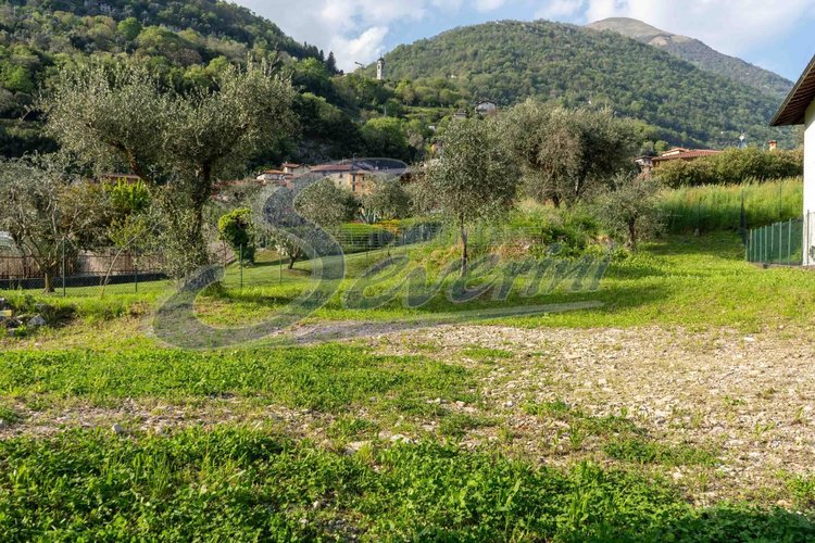 Villa singola Tremezzina