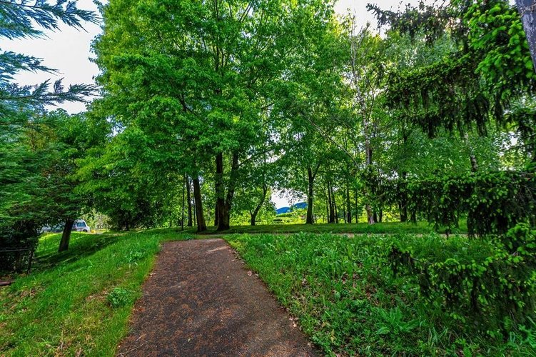 locale commerciale Alzano Lombardo