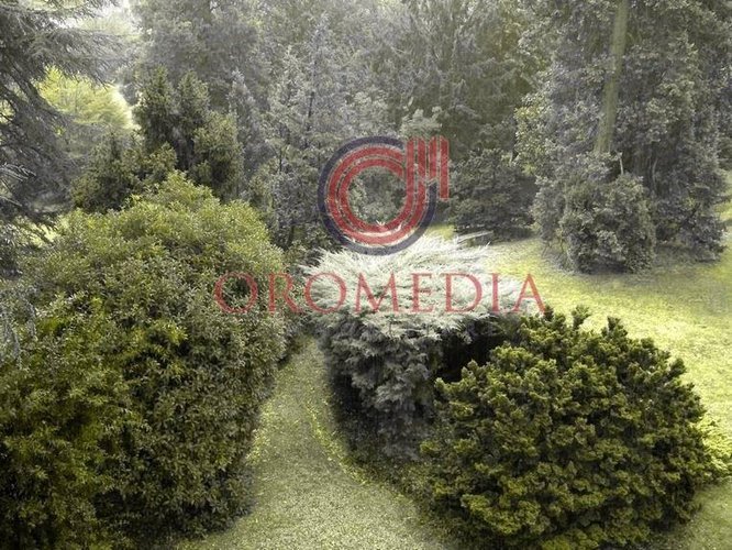 Villa singola Trescore Balneario