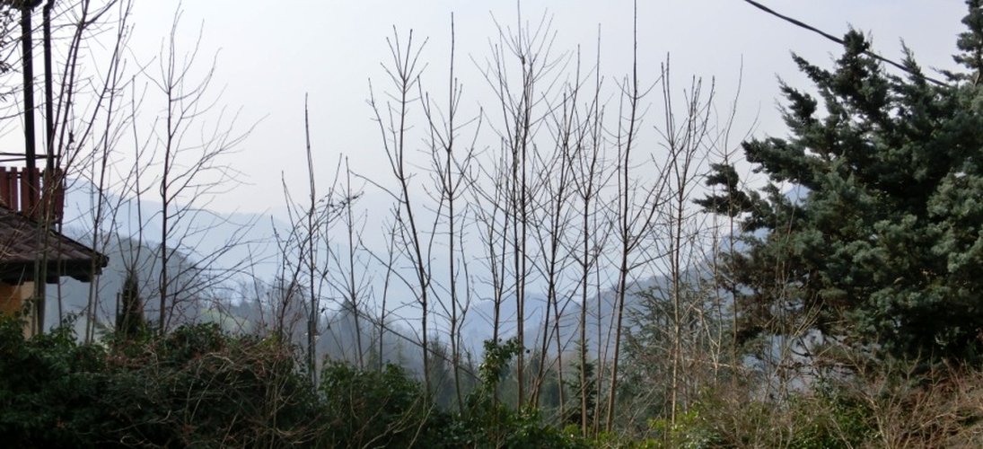 Serina Bagnella grazioso monolocale con comodo box auto Serina