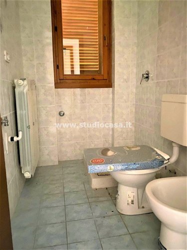 IMMERESO NEL VERDE! Lenna