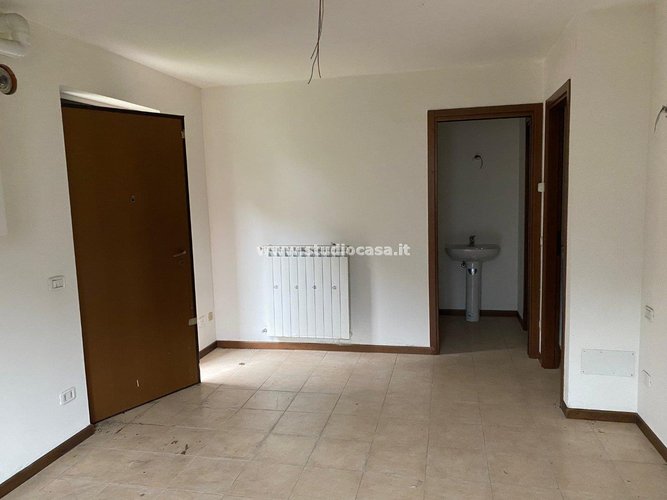 IMMERESO NEL VERDE! Lenna