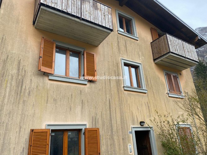 IMMERESO NEL VERDE! Lenna