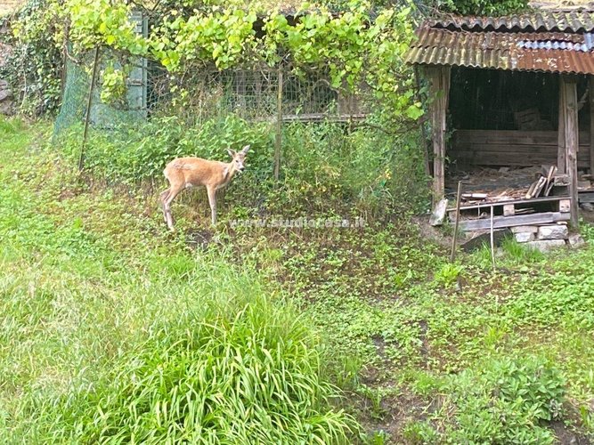 POSIZIONE CENTRALE E SERVITA!!!! Val Brembilla