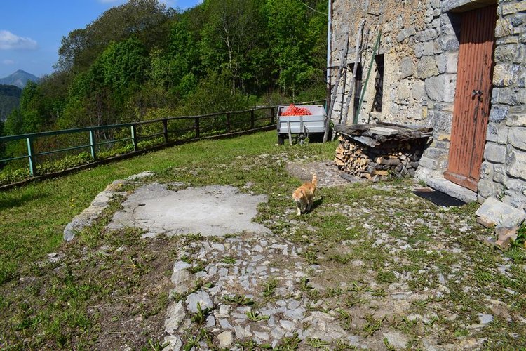 Oltre il Colle-Zorzone, introvabile porzione di rustico con terreno Oltre il Colle