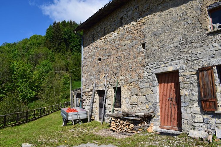 Oltre il Colle-Zorzone, introvabile porzione di rustico con terreno