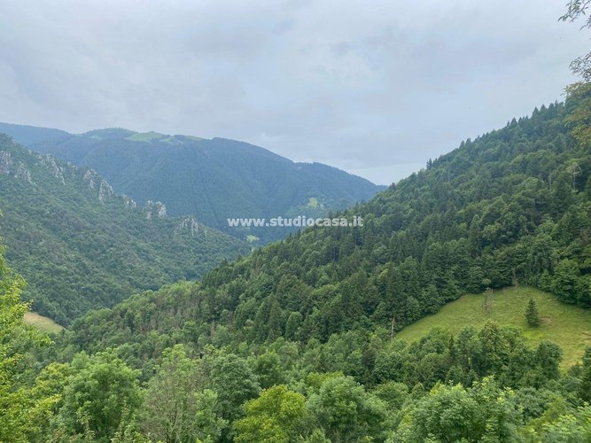 SOLE DA MATTINA A SERA! Mezzoldo