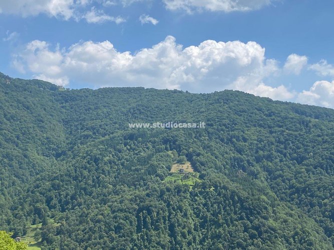 VISTA SUPER PANORAMICA! Bracca