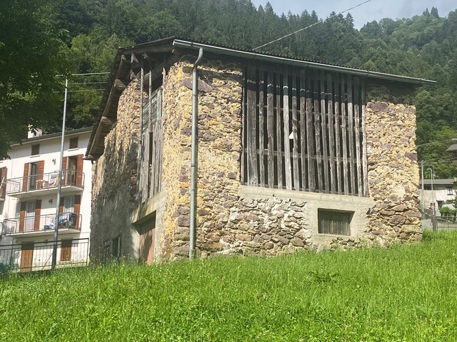 IMMERSO NEL VERDE! Piazzolo