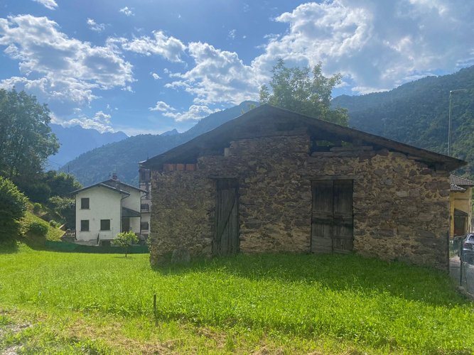IMMERSO NEL VERDE! Piazzolo