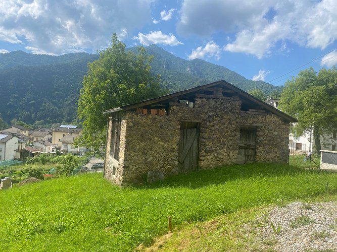 IMMERSO NEL VERDE! Piazzolo