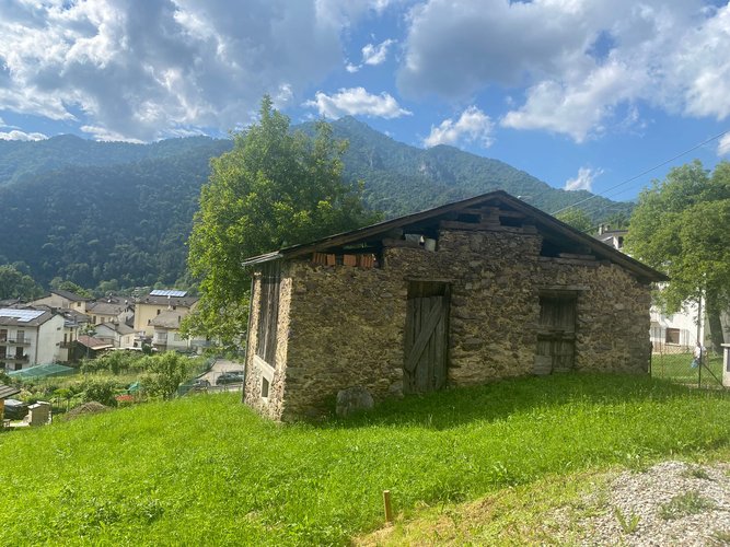IMMERSO NEL VERDE! Piazzolo
