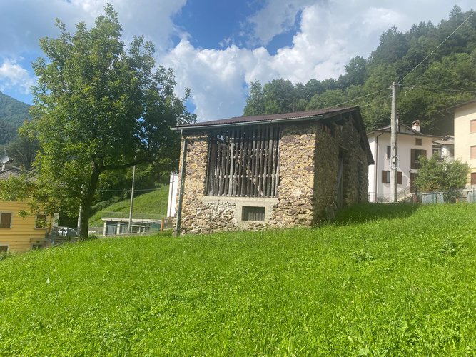 IMMERSO NEL VERDE! Piazzolo