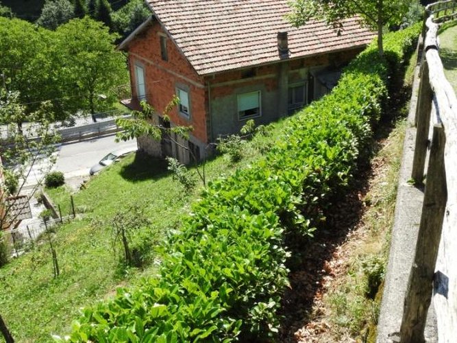 CASA SINGOLA! Mezzoldo