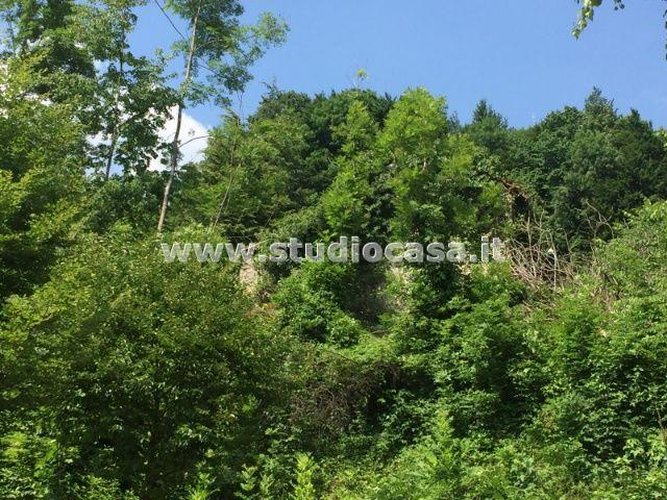 VISTA ECCEZIONALE!!!!!!!!!!!! Taleggio