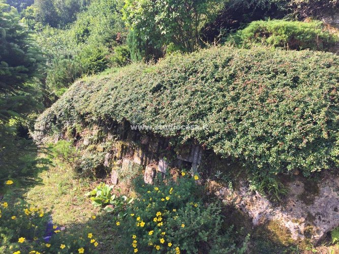 ATTICO PANORAMICO! Oltre il Colle