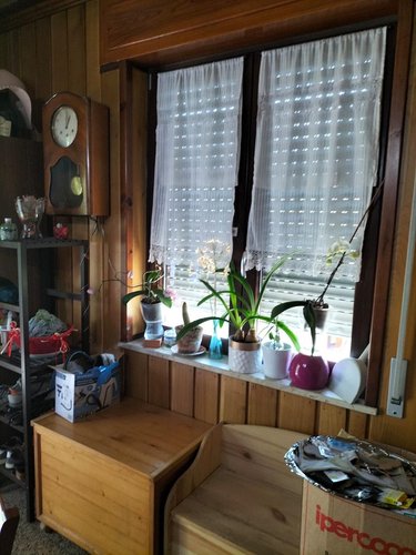 Serina centro, grazioso trilocale esente da spese condominiali Serina