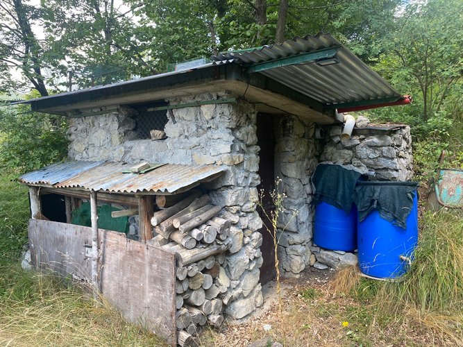 IMMERSO NEL VERDE! Zogno