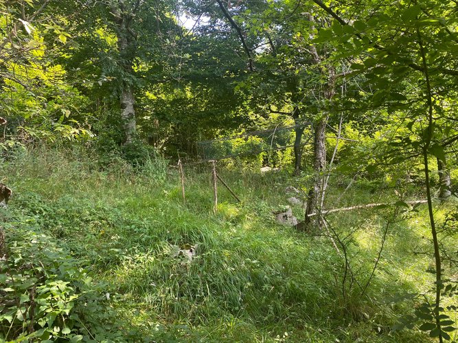 IMMERSO NEL VERDE! Zogno