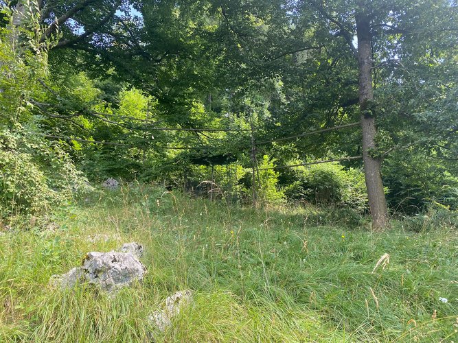 IMMERSO NEL VERDE! Zogno