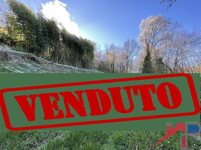 Terreno edificabile ampia metratura Palazzago