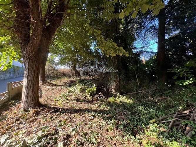 Terreno Residenziale Cermenate