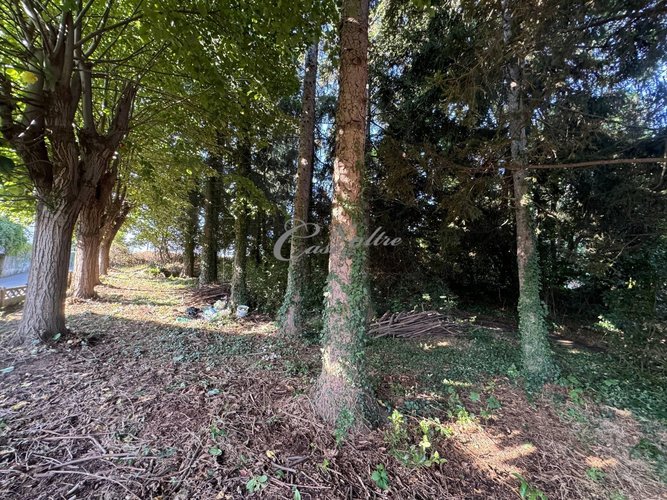 Terreno Residenziale Cermenate