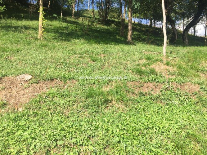 INDIPENDENTE CON TERRENO! Blello