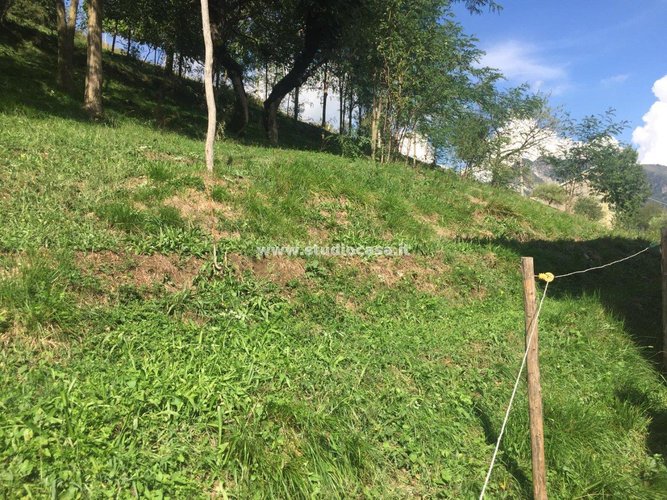 INDIPENDENTE CON TERRENO! Blello