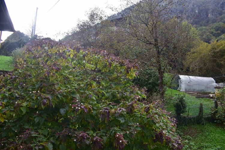 Bracca grazioso alloggio con balconata e taverna Bracca