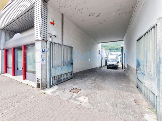 NEGOZIO PESCARENICO Lecco