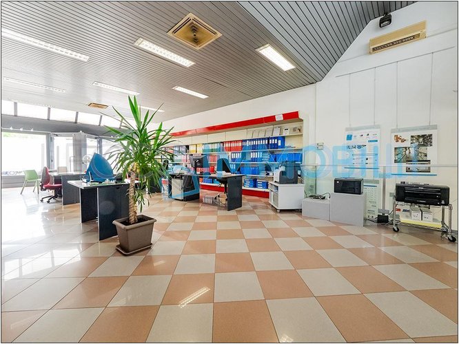 NEGOZIO PESCARENICO Lecco