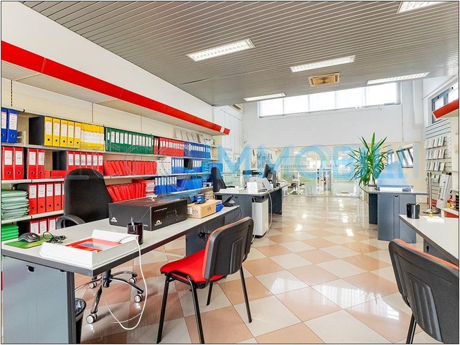 NEGOZIO PESCARENICO Lecco