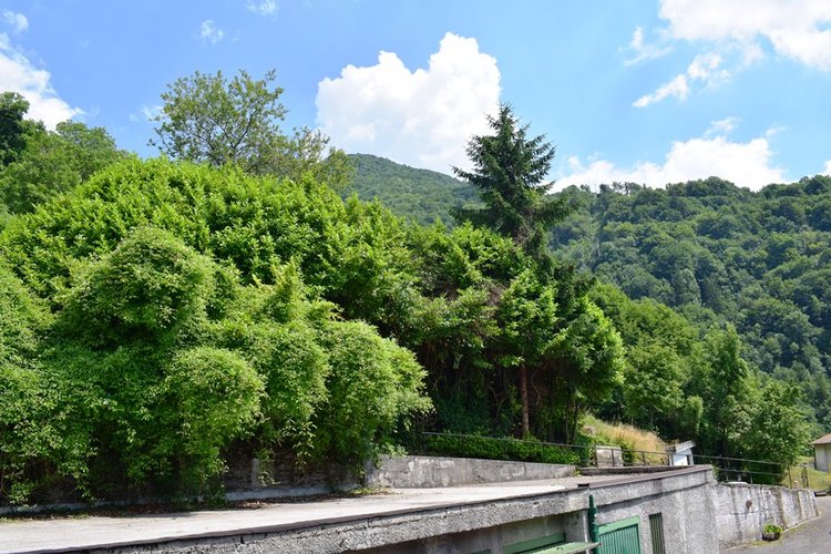 Costa Serina, vero gioiello, per amanti tranquillità ottimo trilocale arredato con terrazza e camino Costa Serina
