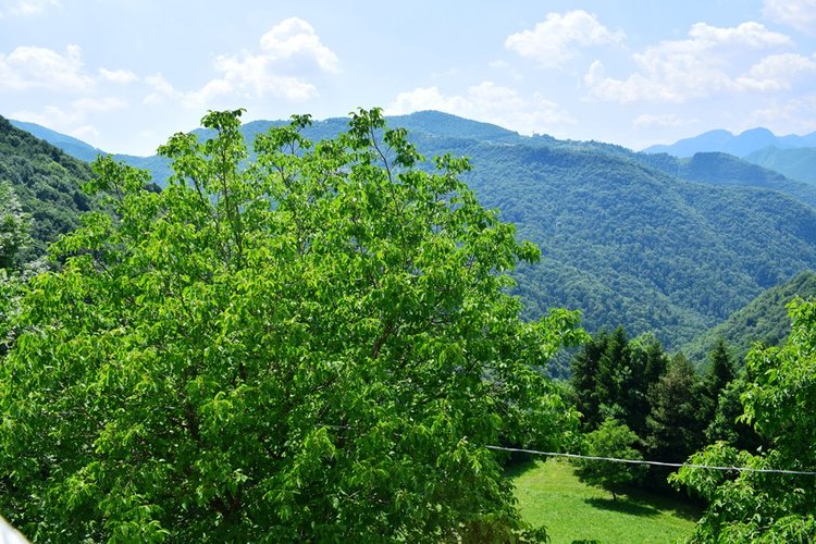 Costa Serina, vero gioiello, per amanti tranquillità ottimo trilocale arredato con terrazza e camino Costa Serina