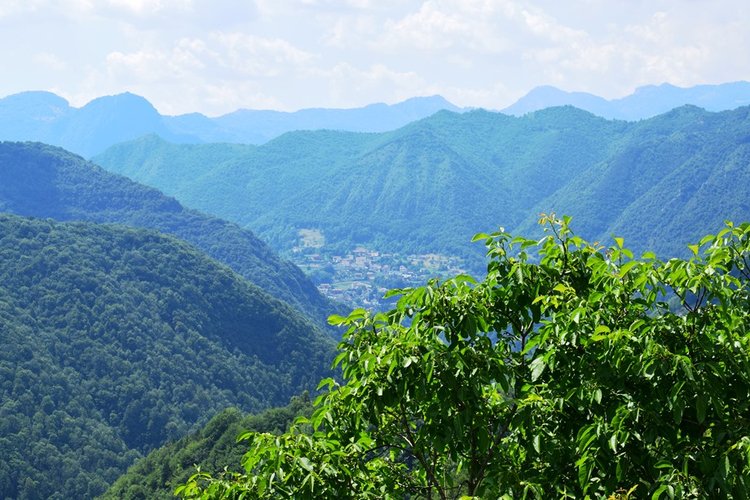 Costa Serina, vero gioiello, per amanti tranquillità ottimo trilocale arredato con terrazza e camino Costa Serina