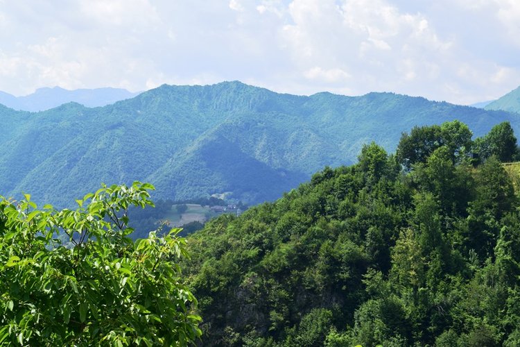 Costa Serina, vero gioiello, per amanti tranquillità ottimo trilocale arredato con terrazza e camino Costa Serina