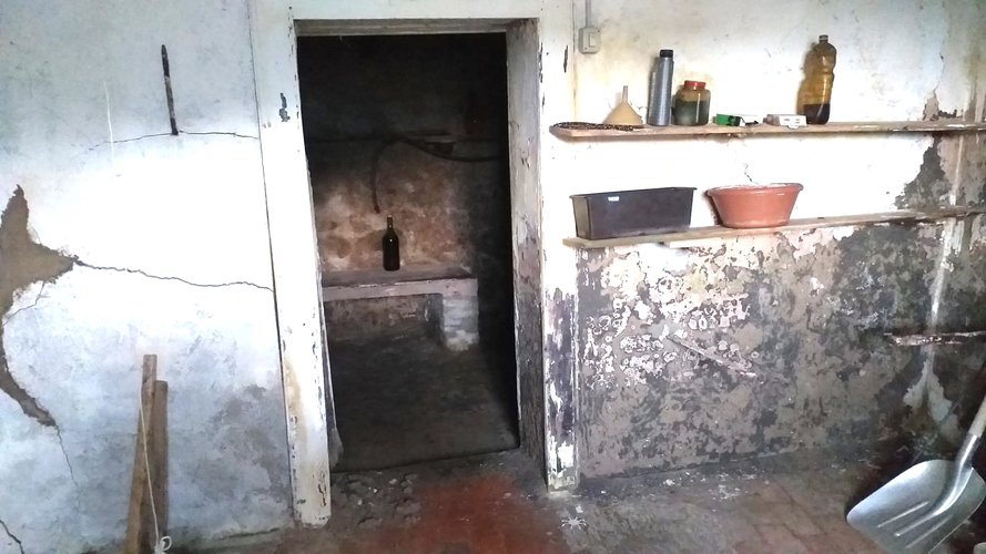 BACIATA DAL SOLE! Taleggio