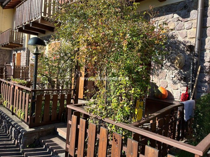 VISTA DA CARTOLINA! Cusio