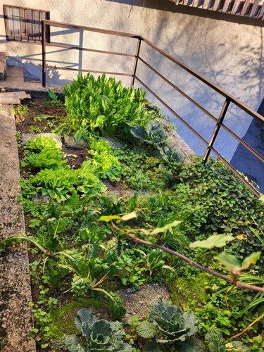 Oltre il Colle, zona esclusiva, ottimo quadrilocale balconato, giardino e box grande Oltre il Colle