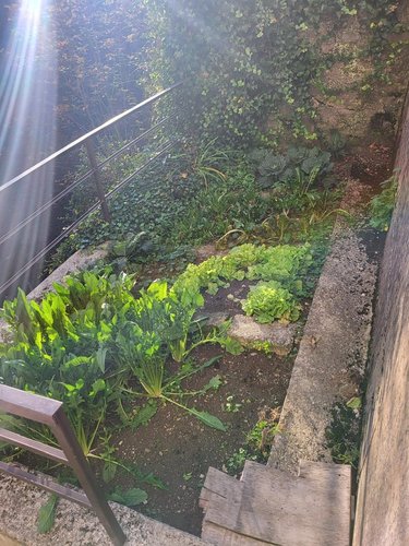 Oltre il Colle, zona esclusiva, ottimo quadrilocale balconato, giardino e box grande Oltre il Colle