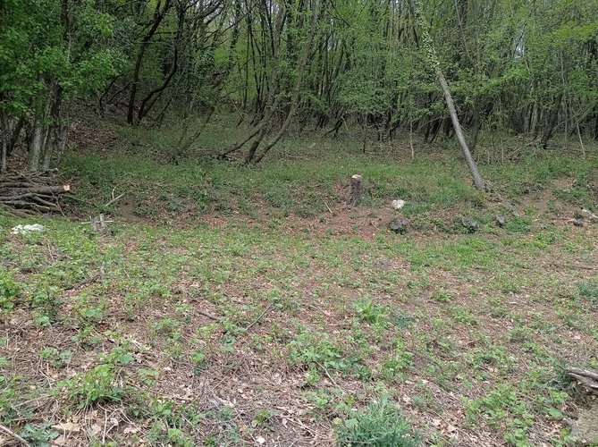 VISTA AEREA!! Roncola